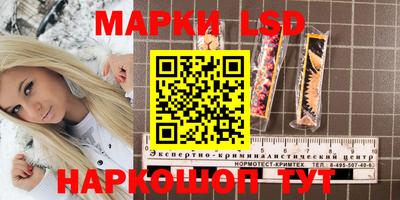 амф Краснодар