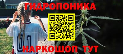 амф Краснодар