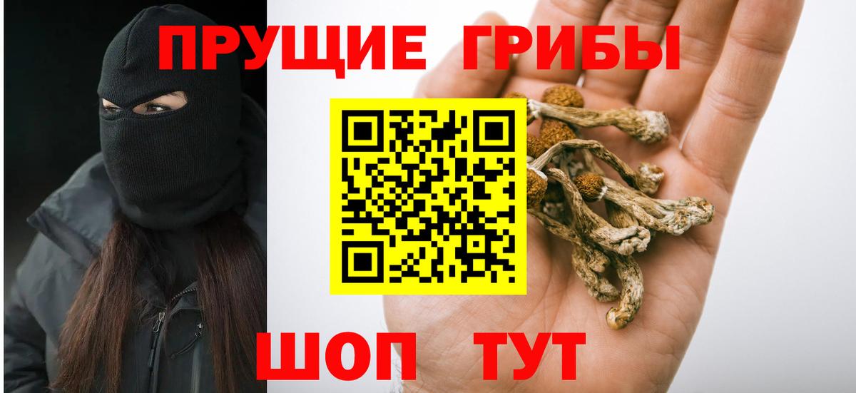 как найти закладки  Вход с VPN  Хабаровск  Галлюциногенные грибы ЛСД  Галлюциногенные грибы Magic Shrooms 